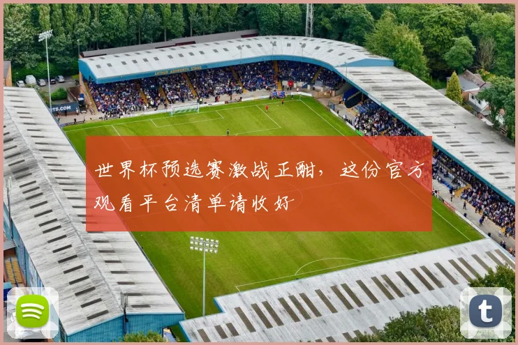 世界杯预选赛激战正酣，这份官方观看平台清单请收好