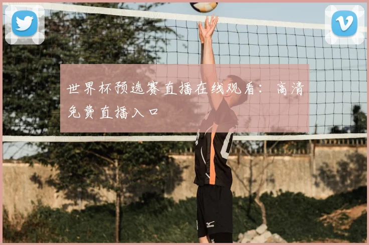世界杯预选赛直播在线观看:高清免费直播入口