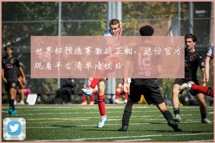 世界杯预选赛激战正酣，这份官方观看平台清单请收好